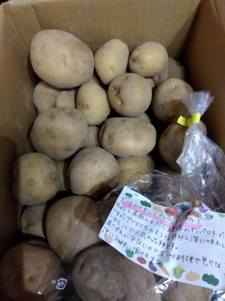 1件目のレビュー画像 | 0