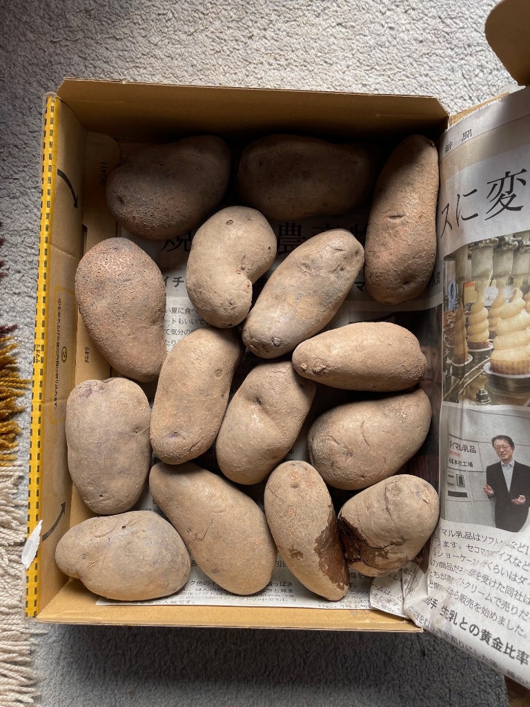 希少じゃがいも 北海道産 シャドークイーン Mサイズ 1kg 送料