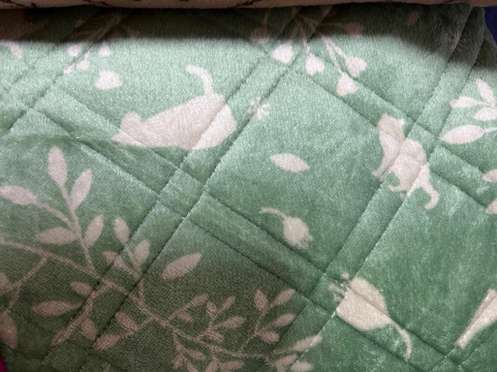 9件目のレビュー画像 | 0