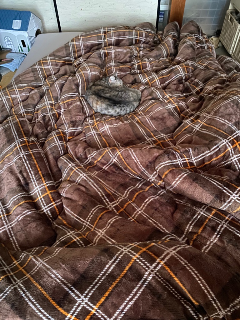 Colorsroom 掛け布団 あったか フランネル ボア リバーシブル