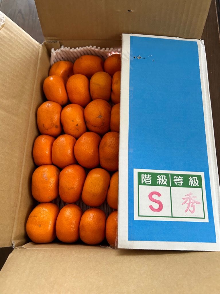 宝幸「陸奥湾産帆立水煮姿煮（貝ひも付き）」3缶の通販