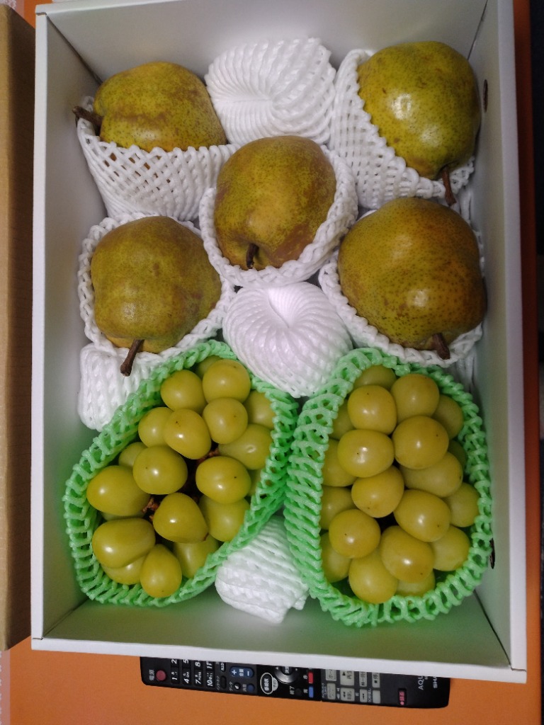 レビュー画像