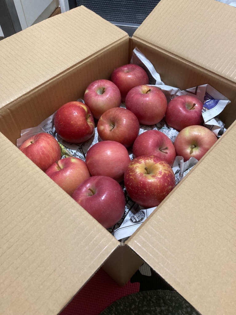 予約】 山形県産 ご家庭用 りんご 早生ふじ 10kg (訳あり/26玉