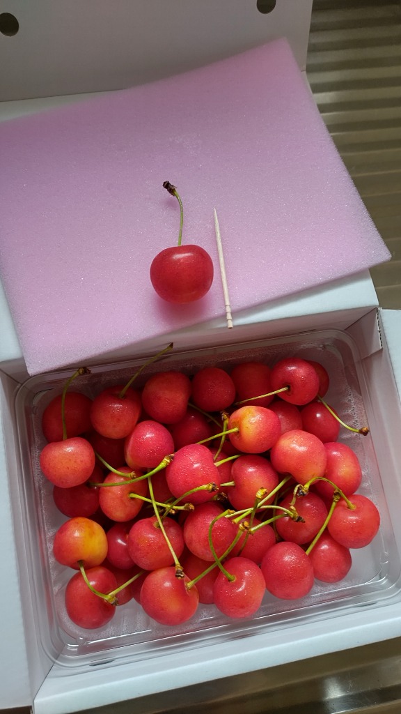 瞬間冷凍さくらんぼ「SHIZUKU」やまがた紅王使用