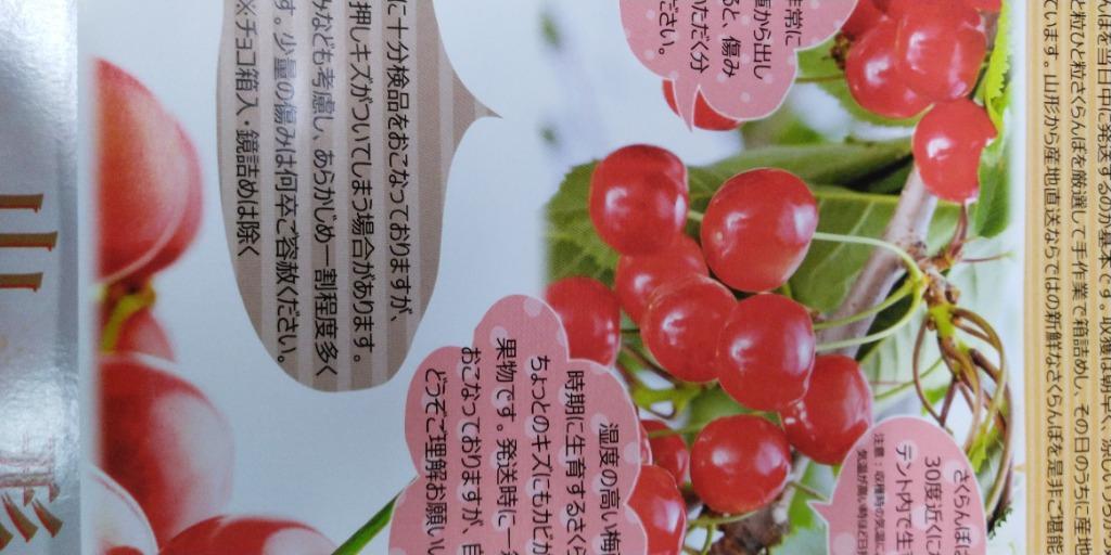 全体のレビュー画像 | 5-1