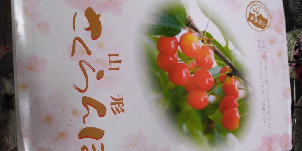 全体のレビュー画像 | 5-0