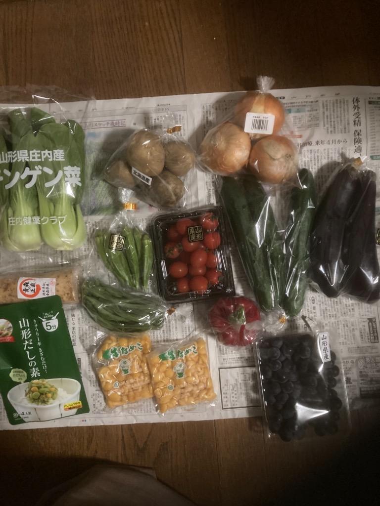 出荷中】野菜セット おまかせ A (果物1品＋野菜9種類以上保証) 旬 野菜 果物 野菜詰合せ 家庭用 食品 グルメ 山形県 産地直送 送料無料  お取り寄せ :yg-zenkoku-yasai-set-a:北のデリシャス - 通販 - Yahoo!ショッピング