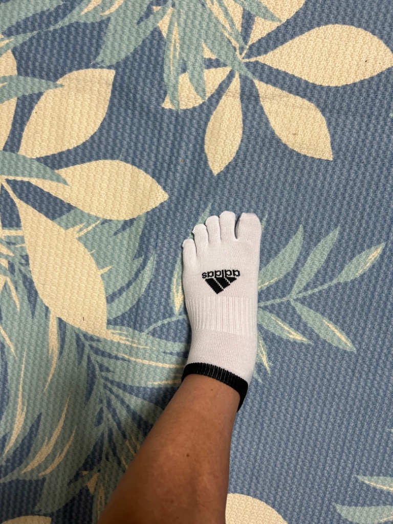 シューズ(男性用) bbbs5 Amazon | [READING] バスケットシューズ バッシュ メンズ