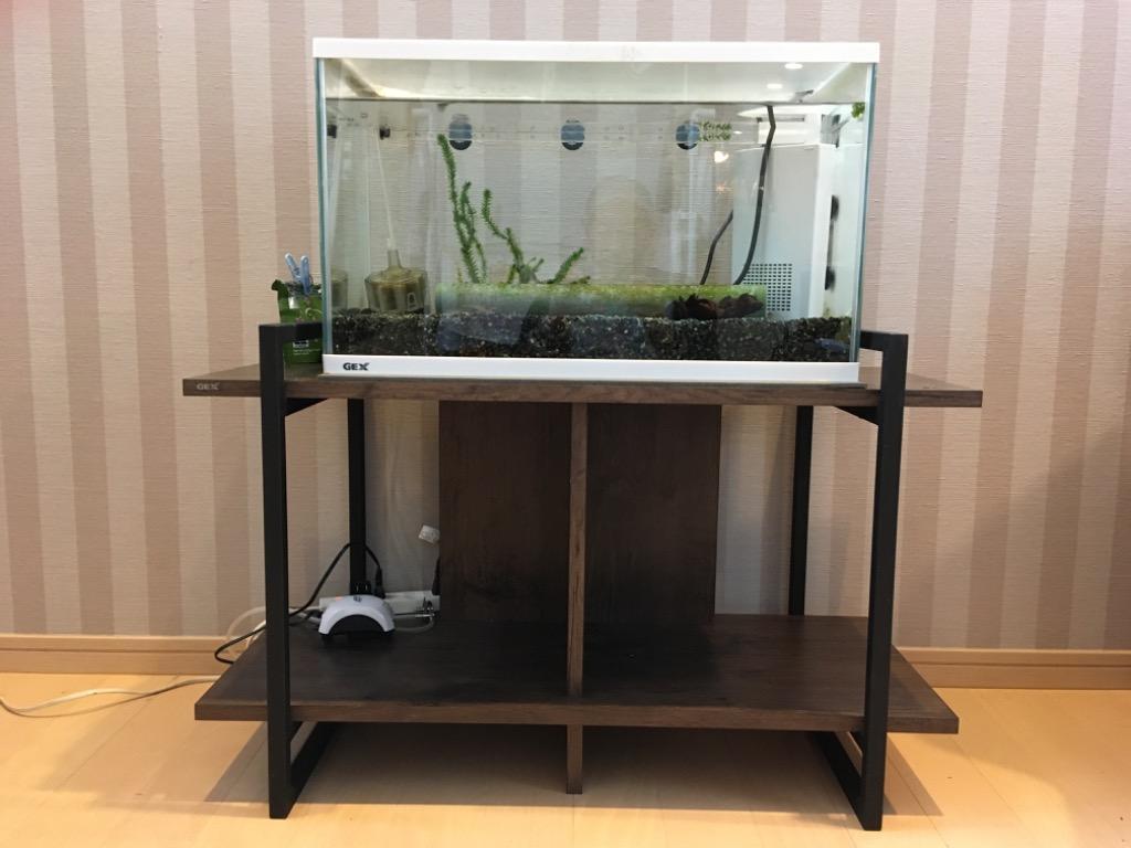 GEX アクアラックシェルフ 600 幅60cm 水槽台 同梱不可 :4972547035769:G3 AQUA LAB ヤフーショップ