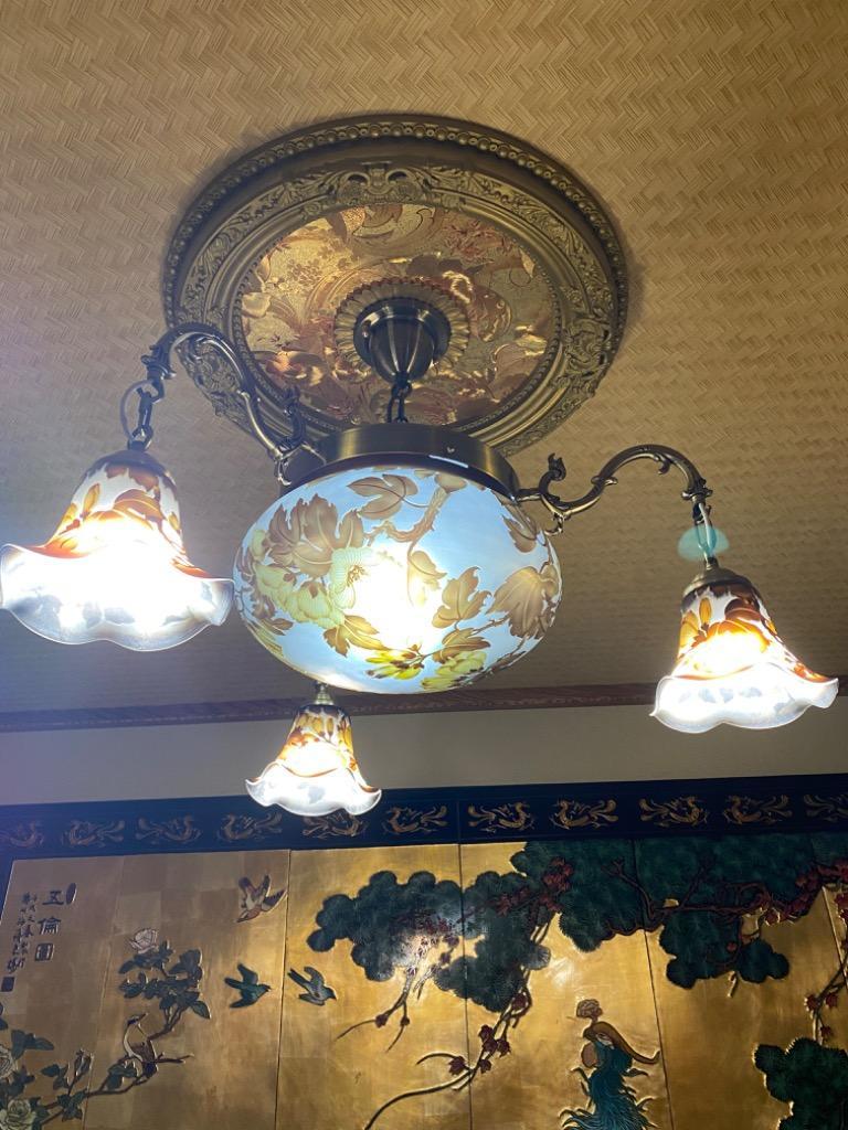 シャンデリア 照明 広角LED 照明器具 シーリング 安い 被せ