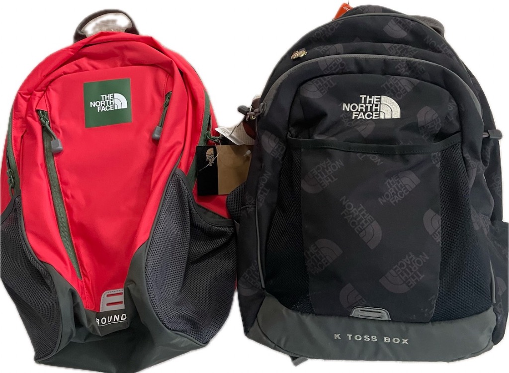 【美品】ノースフェイス　リュック　22L THE NORTH FACE 最大51%☆8/18まで 日本正規品 ザ・ノース
