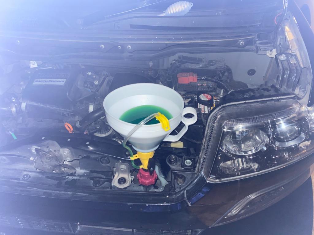 全体のレビュー画像 | 0-0