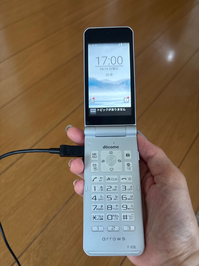 富士通 F-03L arrows ケータイ シルバー SIMフリー 中古