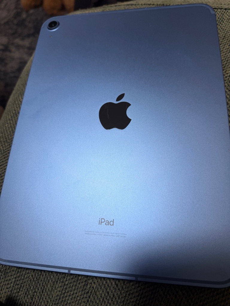 iPad 第10世代 256GB Wi-Fi+Cellular SIMフリー ブルー 2022/10/1 中古