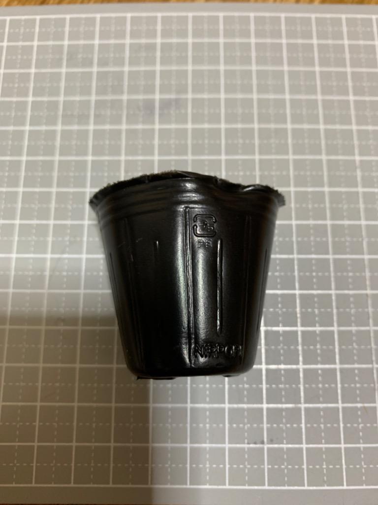 ポリポット 4cm 黒 1000個 ビニールポット :polipot40:(有)所沢植木鉢センター - 通販 - Yahoo!ショッピング