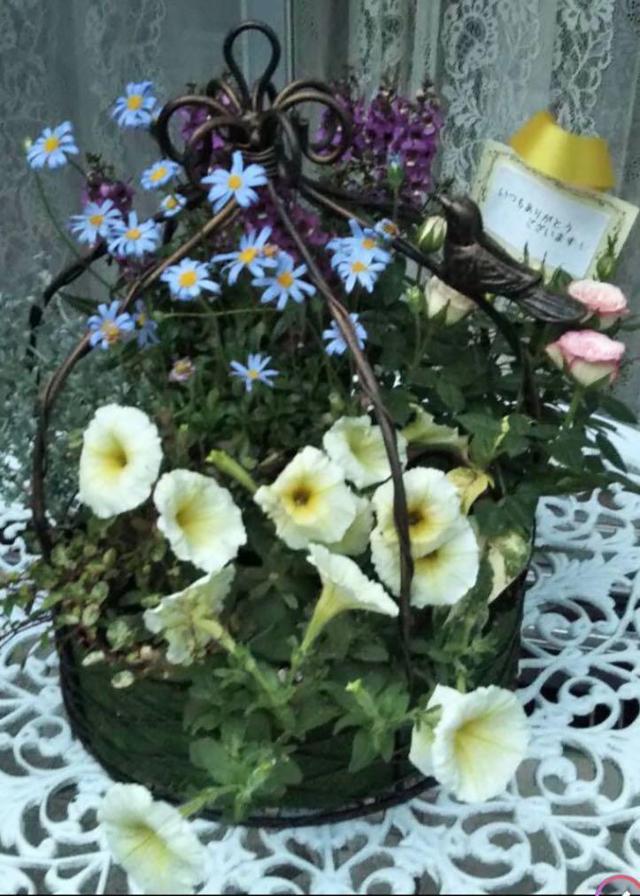 お花　寄せ植え　鳥かご　母の日　寄せ植え お花寄せ植え鳥かご母の日寄せ植え