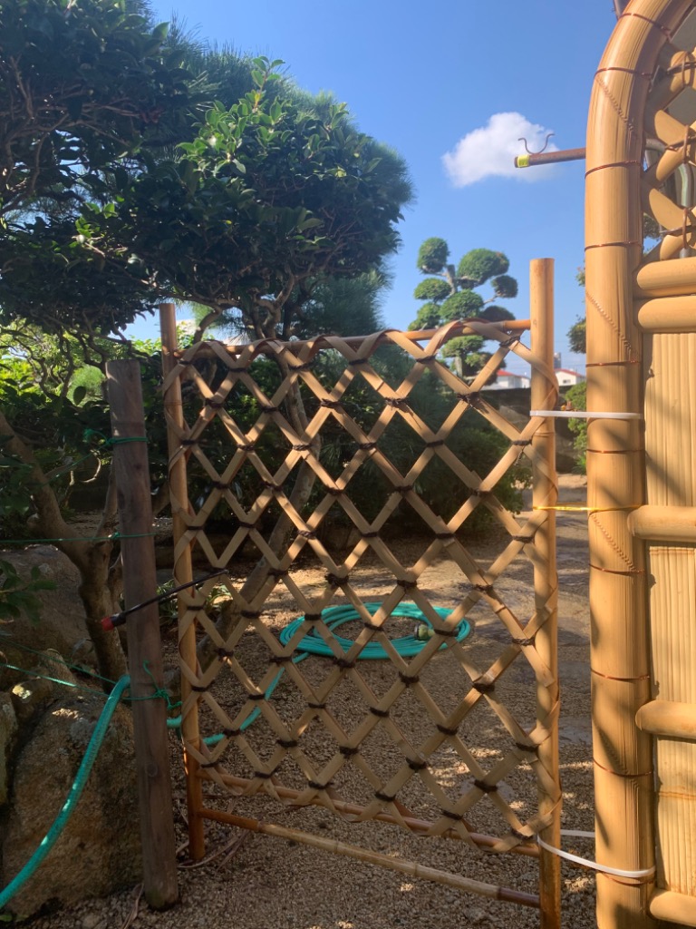 1件目のレビュー画像 | 0