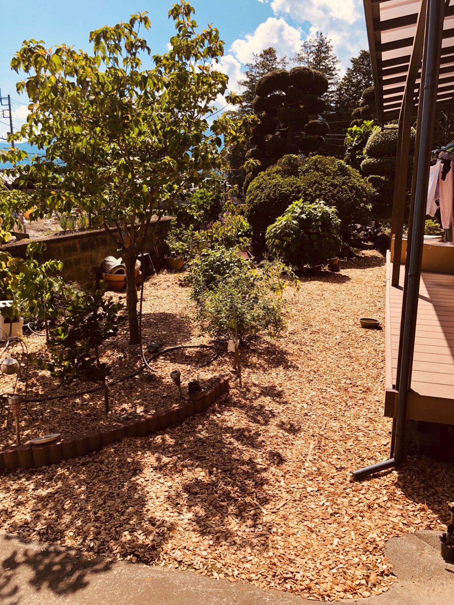 兵庫県産スギ・ヒノキウッドチップ　Aタイプ３００Ｌ　舗装厚5ｃｍ時・約6平米分 兵庫県産スギヒノキウッドチップＡタイプ 500Ｌ(50Ｌ×10袋