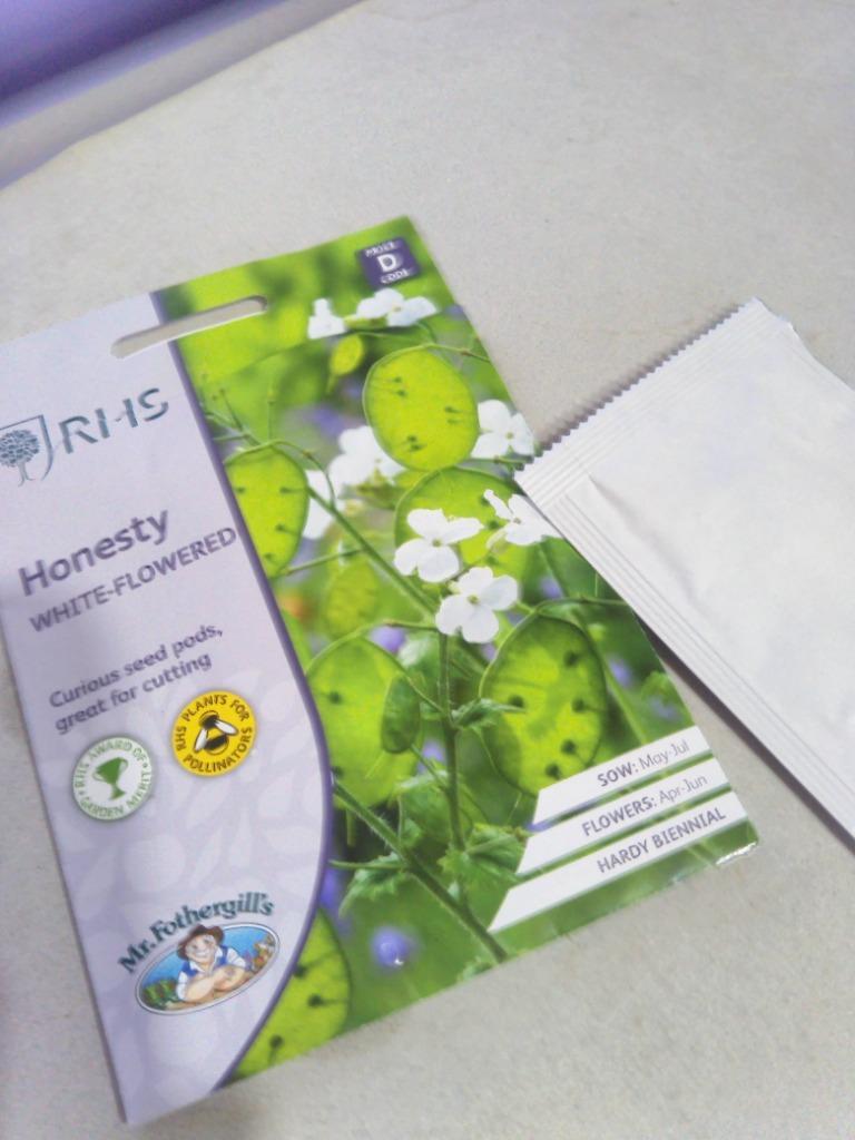 種子】Mr.Fothergill's Seeds Royal Horticultural Society Honesty WHITE-FLOWERED  RHS オネスティ（ルナリア） ホワイト・フラワード :hanatane-203:Gardener s Shop Ivy - 通販 -  Yahoo!ショッピング