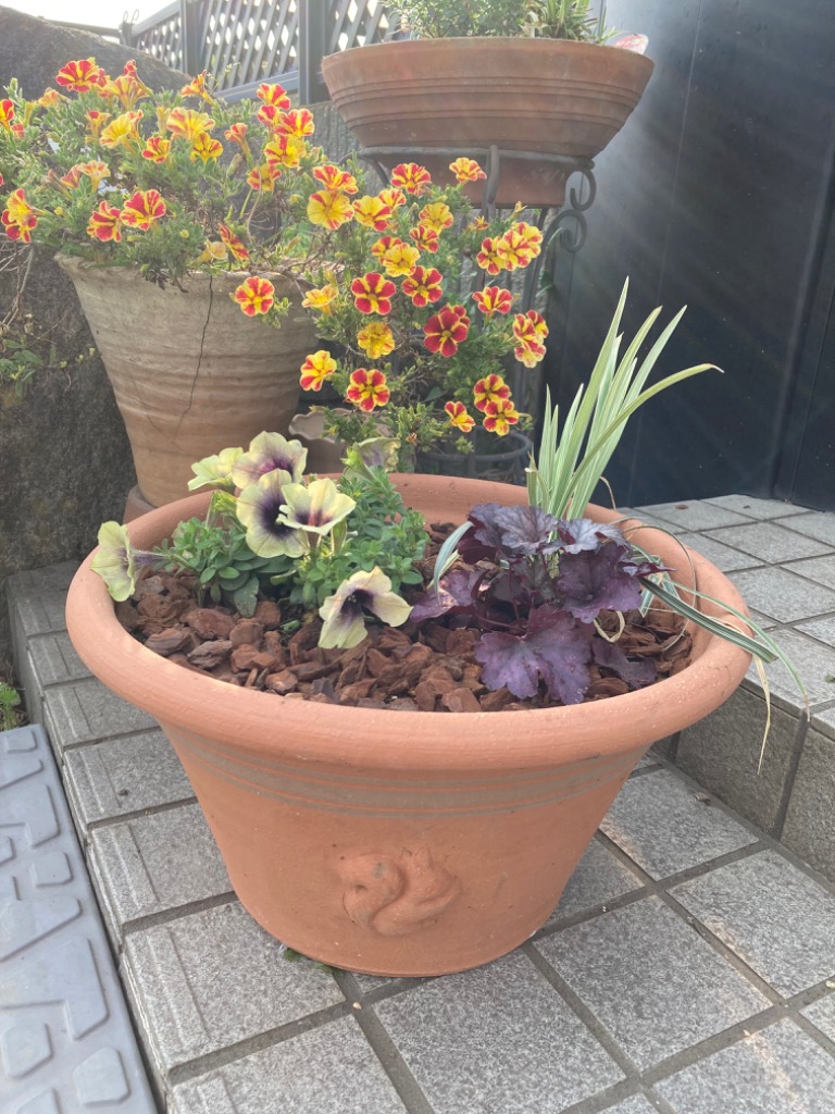 ウィッチフォード 植木鉢 スクワールハーフポット リスモデル 直径34cm