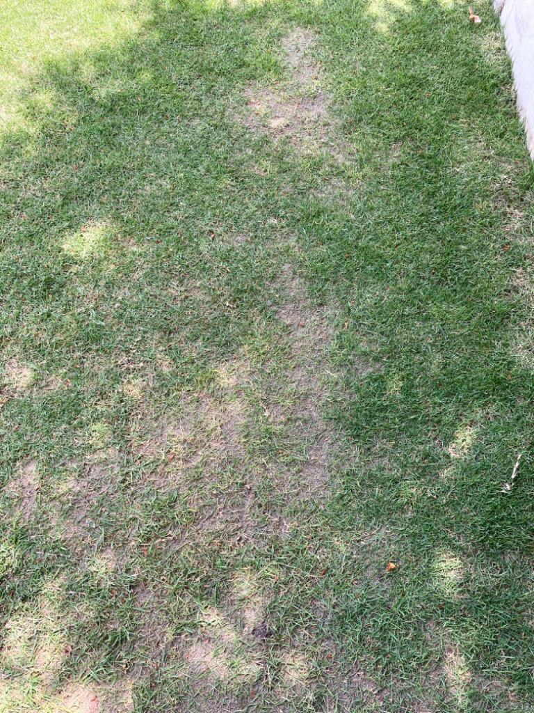 芝生 目砂 ガーデニング 庭 砂 芝 乾燥 20kg 1mm 造園 庭園 芝の目砂