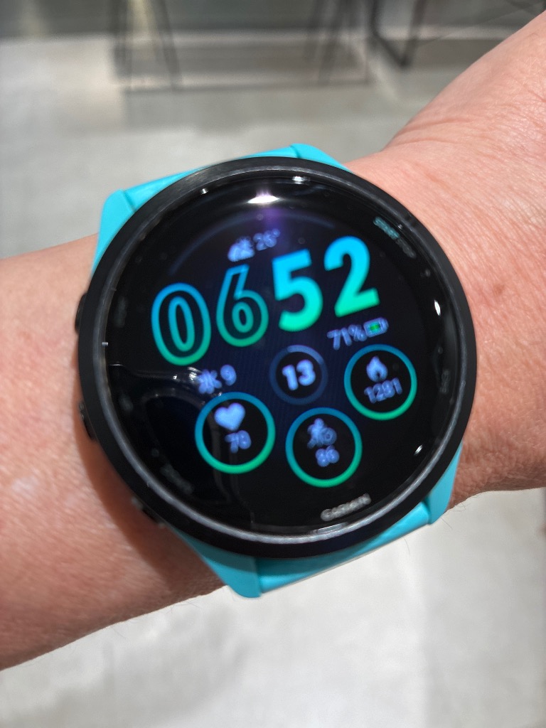 Foretrex ガーミン(GARMIN)液晶保護フィルム2枚入り