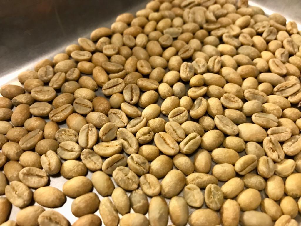 生豆 コーヒー 1kg モカ イルガチャフェG1 ナチュラル