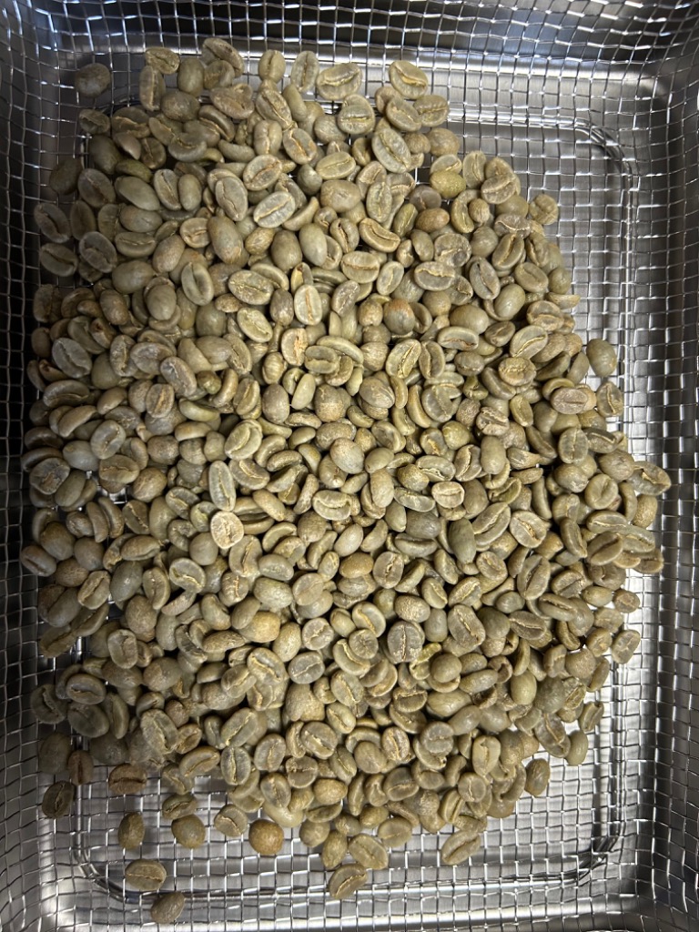 生豆 約10kg da61.jpg