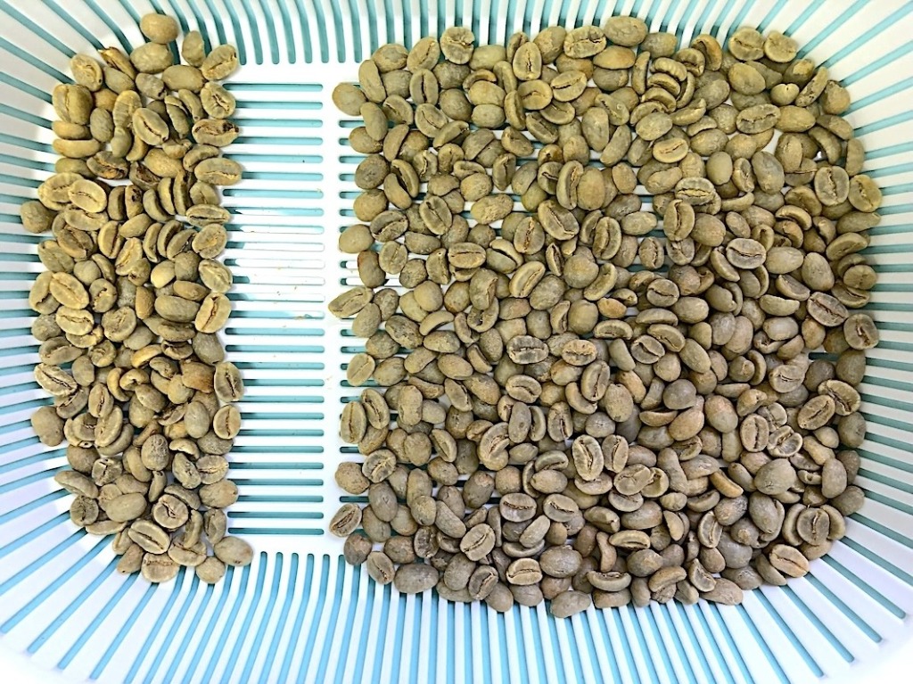 世界中のコーヒー生豆を楽しむ、焙煎体験セット 500g × 4種類