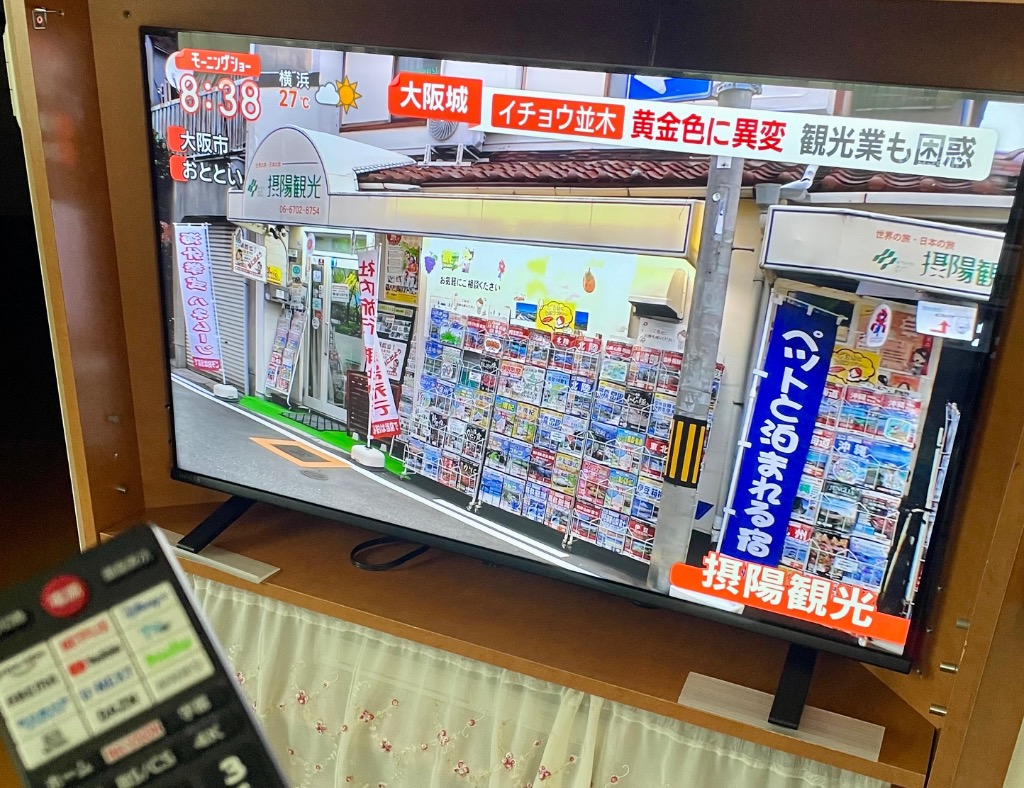 REGZA TVS 4K液晶テレビ レグザ 43インチ Professionalシリーズ