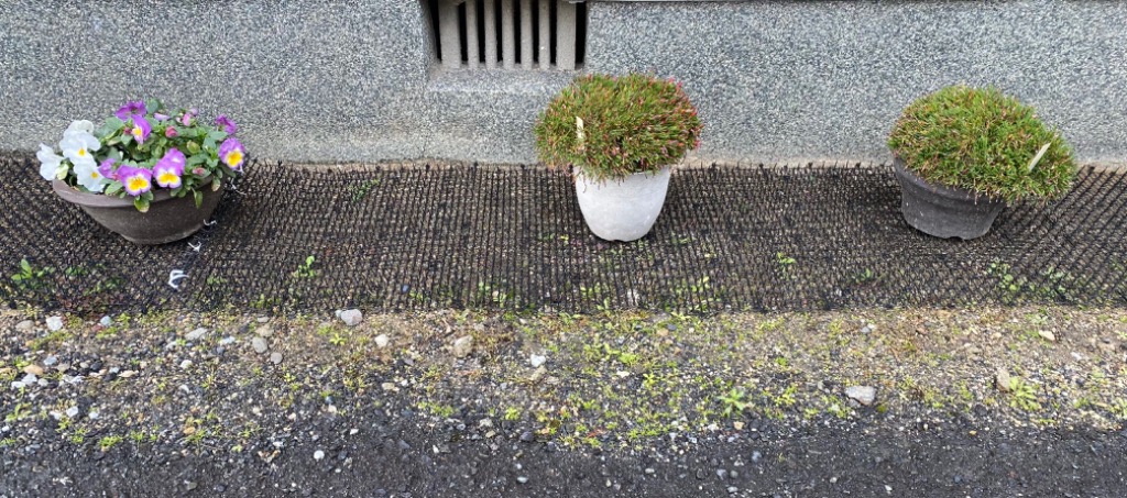 1件目のレビュー画像 | 2
