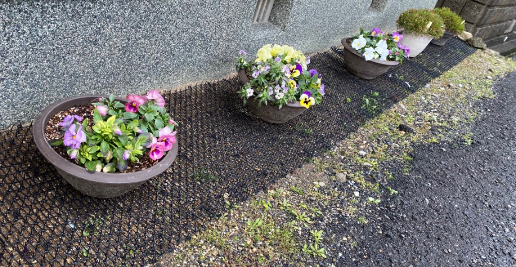1件目のレビュー画像 | 0