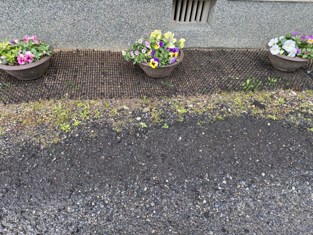 1件目のレビュー画像 | 1