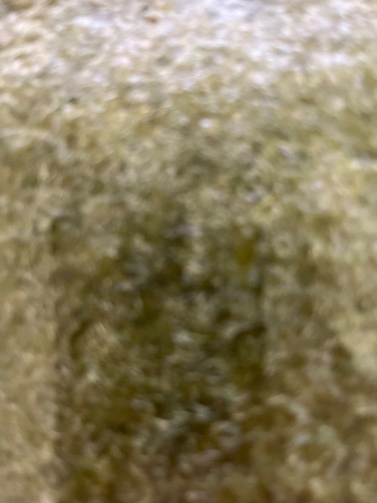 全体のレビュー画像 | 0-0