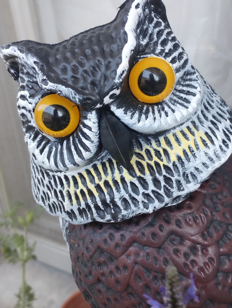 ヨネダコウ　グッズまとめ売り ヨネダコウ グッズまとめ売り CATEGORY ヨネダコウ | K-BOOKS