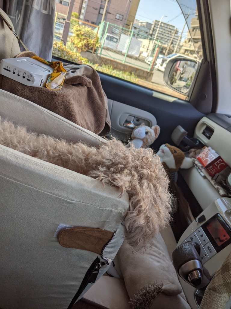 レビュー画像