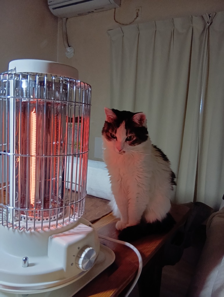 ヒーター 電気ストーブ 足元 レトロ調 オフィス 省エネ おしゃれ 即暖