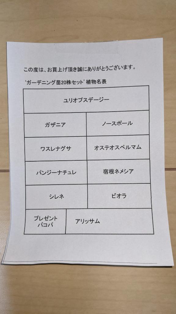 レビュー画像