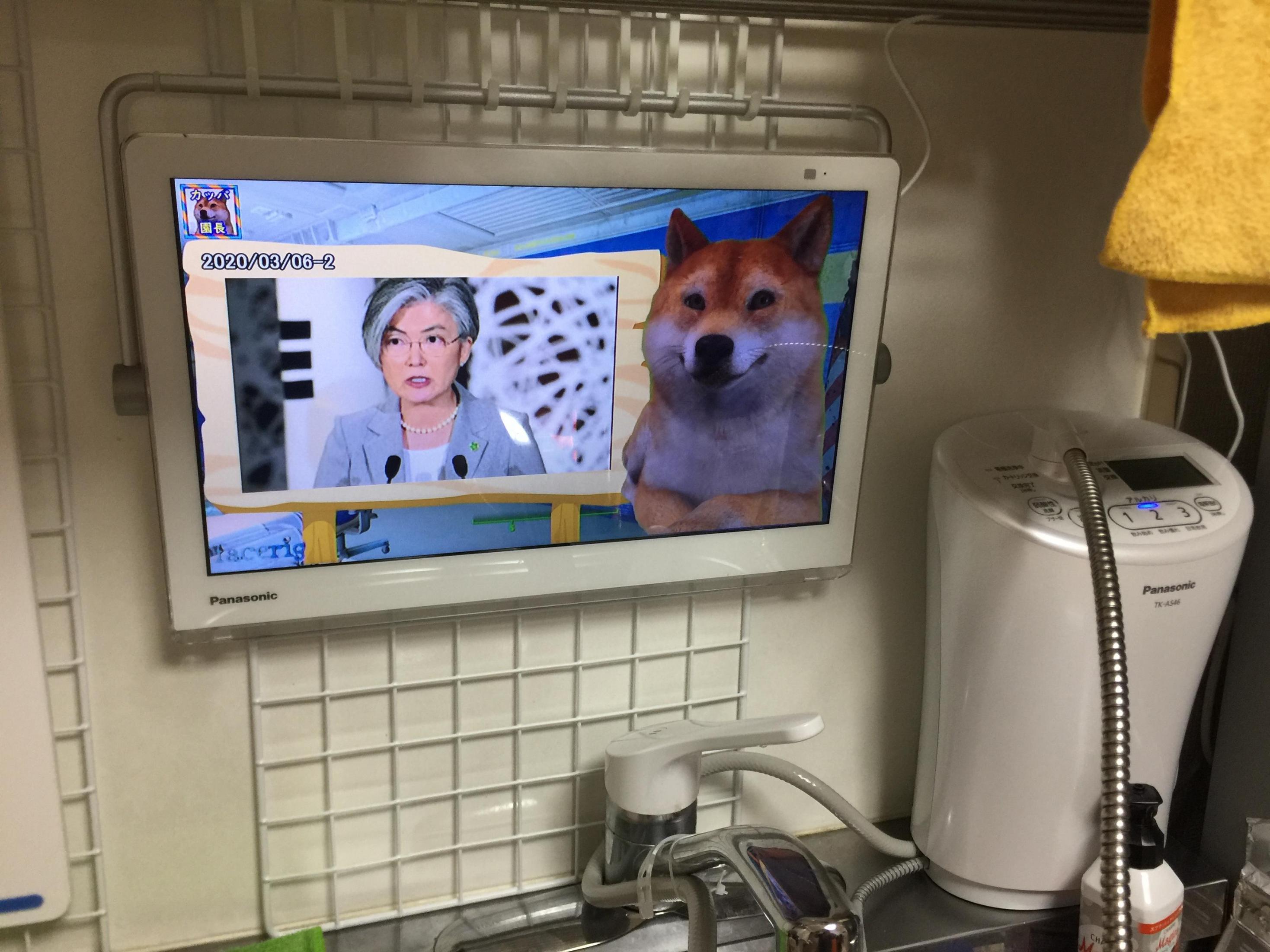 レビュー画像