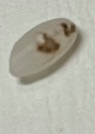 全体のレビュー画像 | 11-0