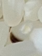 全体のレビュー画像 | 11-2