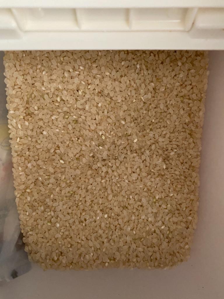 きらら三九七 米 10kg 5kg×2袋セット お米 玄米 きらら397 きらら三九七 米 10kg 5kg×2袋セット お米 玄米 きらら397
