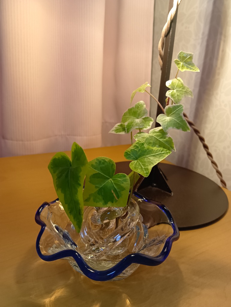 剣山 伊藤泰三作 ガラスの剣山 花留め 花止め 日本製 SUN GLASS