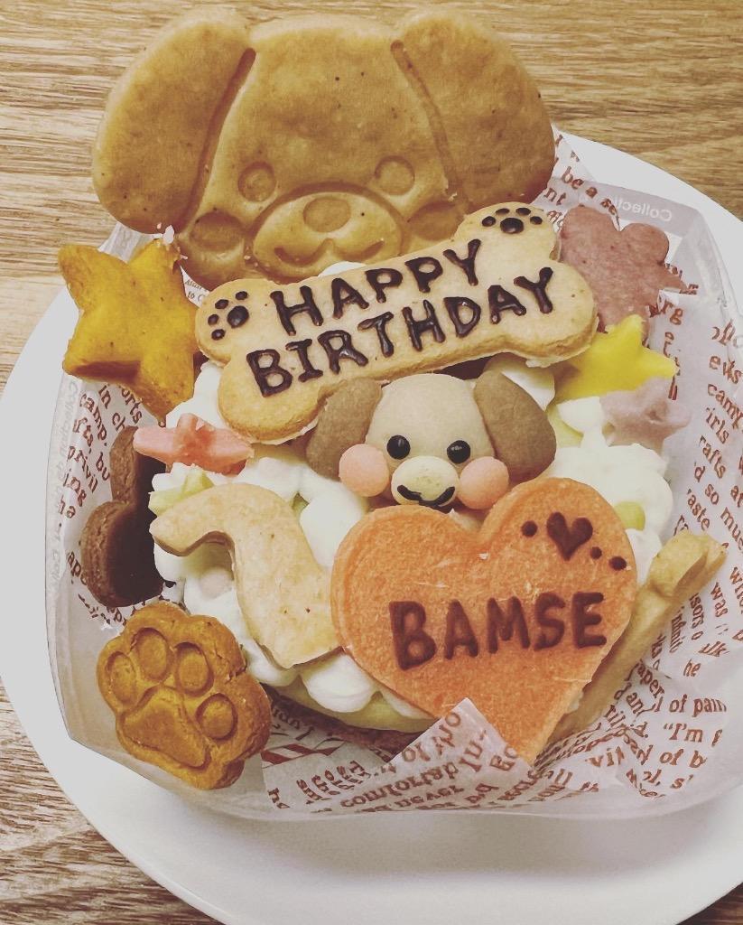3色わんこのケーキギフト（犬用 セミオーダー スイーツセット 無添加