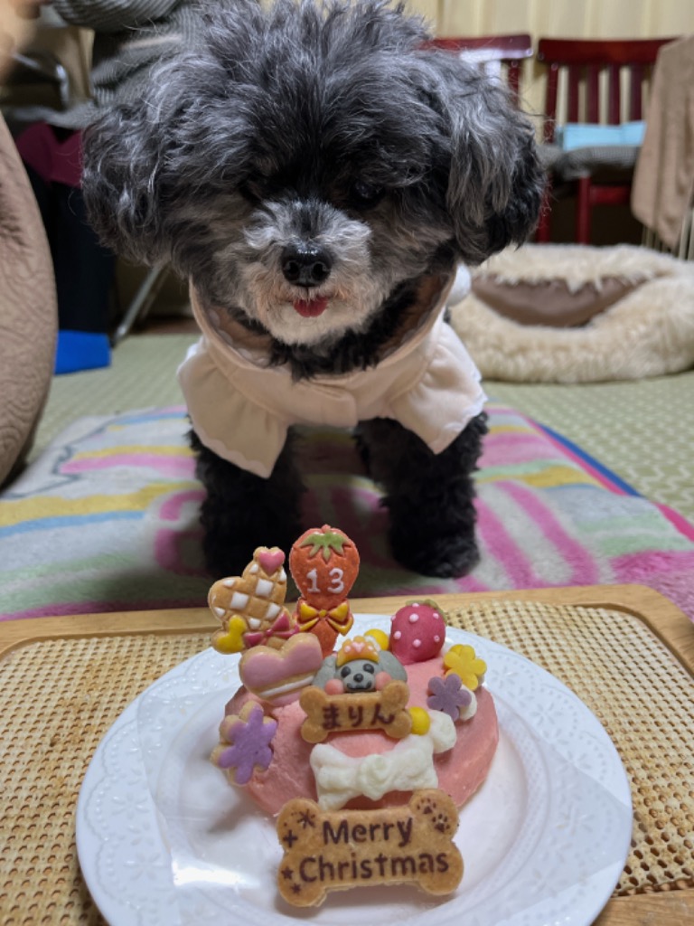 レビュー画像