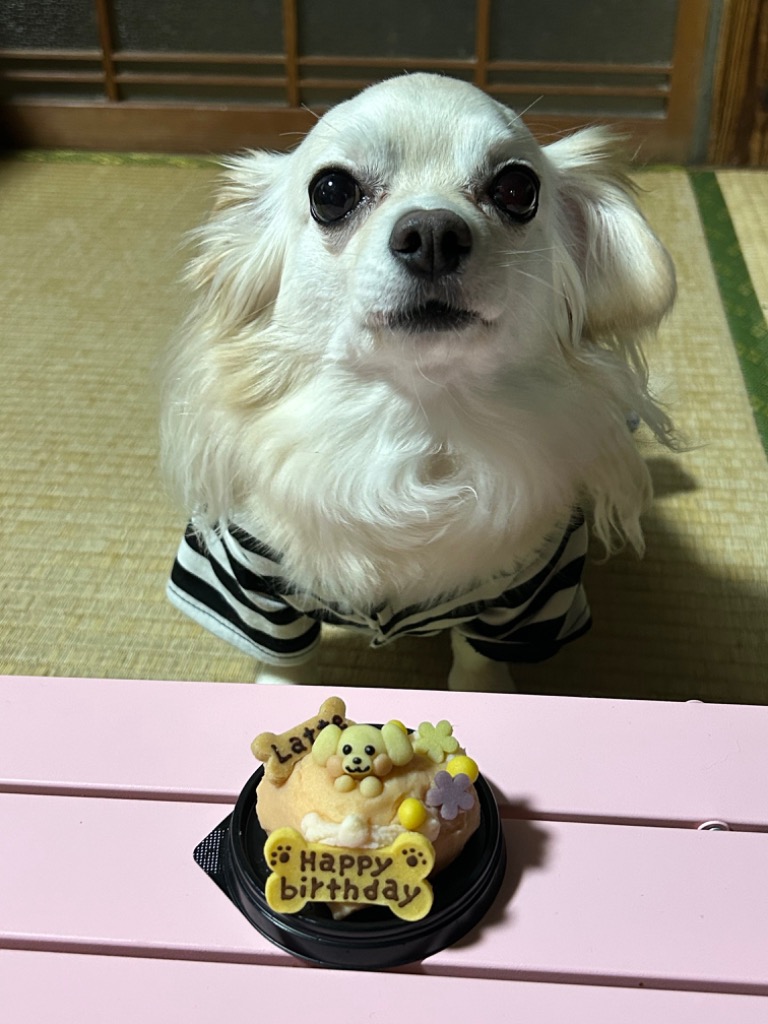 レビュー画像