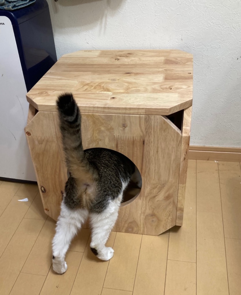 ネット買い コージーデコ ペットも遊べるベンチS cat-hus ナチュラル