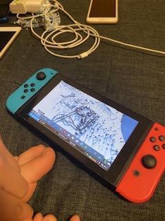 Cities Skylines Nintendo Switch シティーズ スカイライン