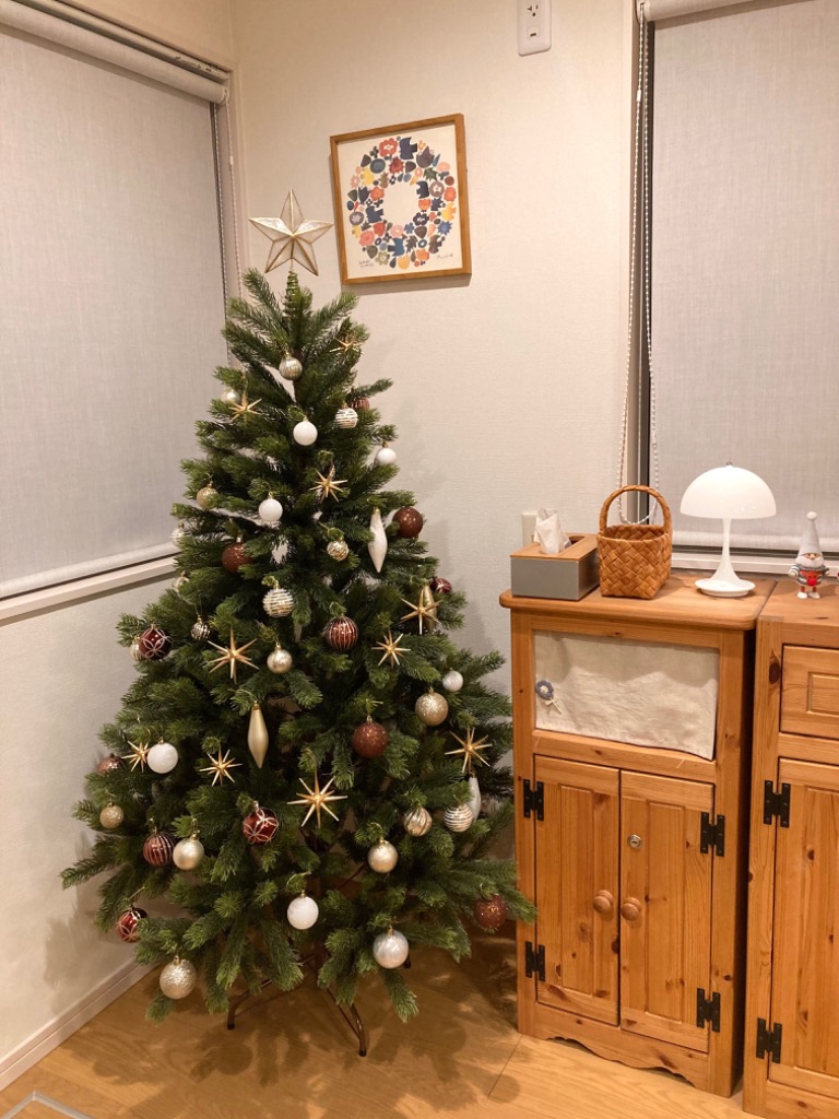 Albin Preisler  クリスマスオーナメント  6個セット アルビンプライスラー Albin Preissler クリスマスオーナメント