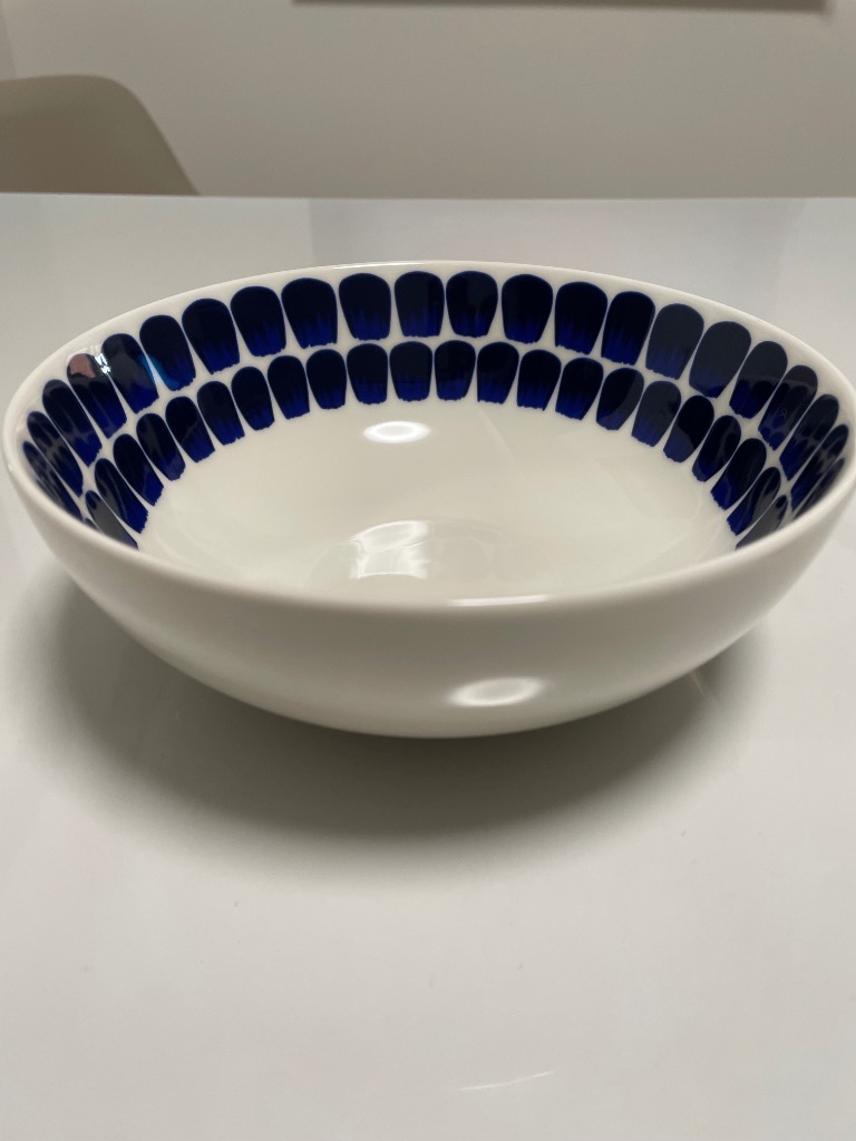 ARABIA アラビア　トゥオキオ　大皿ボウル2枚セット　26cm 18cm ARABIA 【並行輸入品】 アラビア Arabia ボウル 18cm トゥオキオ